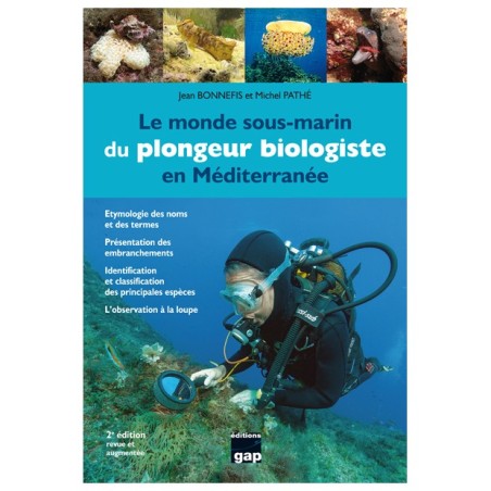 Le monde sous-marin du plongeur biologiste en Méditerranée