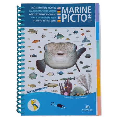 Livre immergeable Pictolife Caraibes