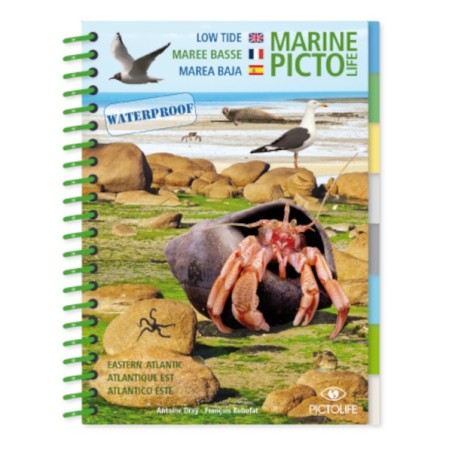 Livre immergeable Pictolife Marée Basse Atlantique Est