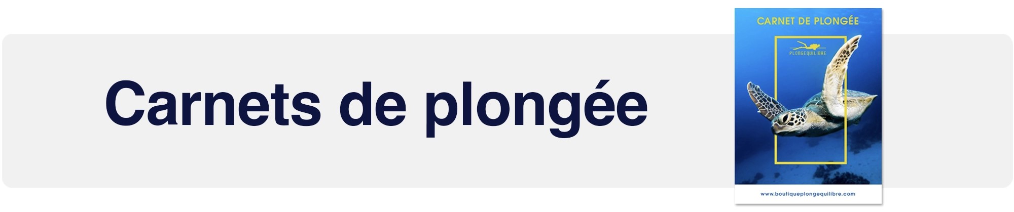 Carnets de plongée