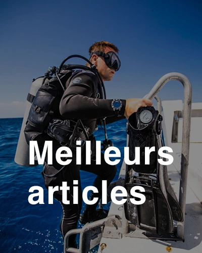 Plongeur équipé sortant de l’eau avec palmes et gilet stabilisateur, visuel catégorie produits les plus appréciés